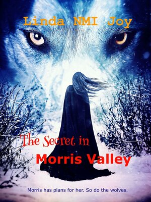 cover image of The Secret in Morris Valley